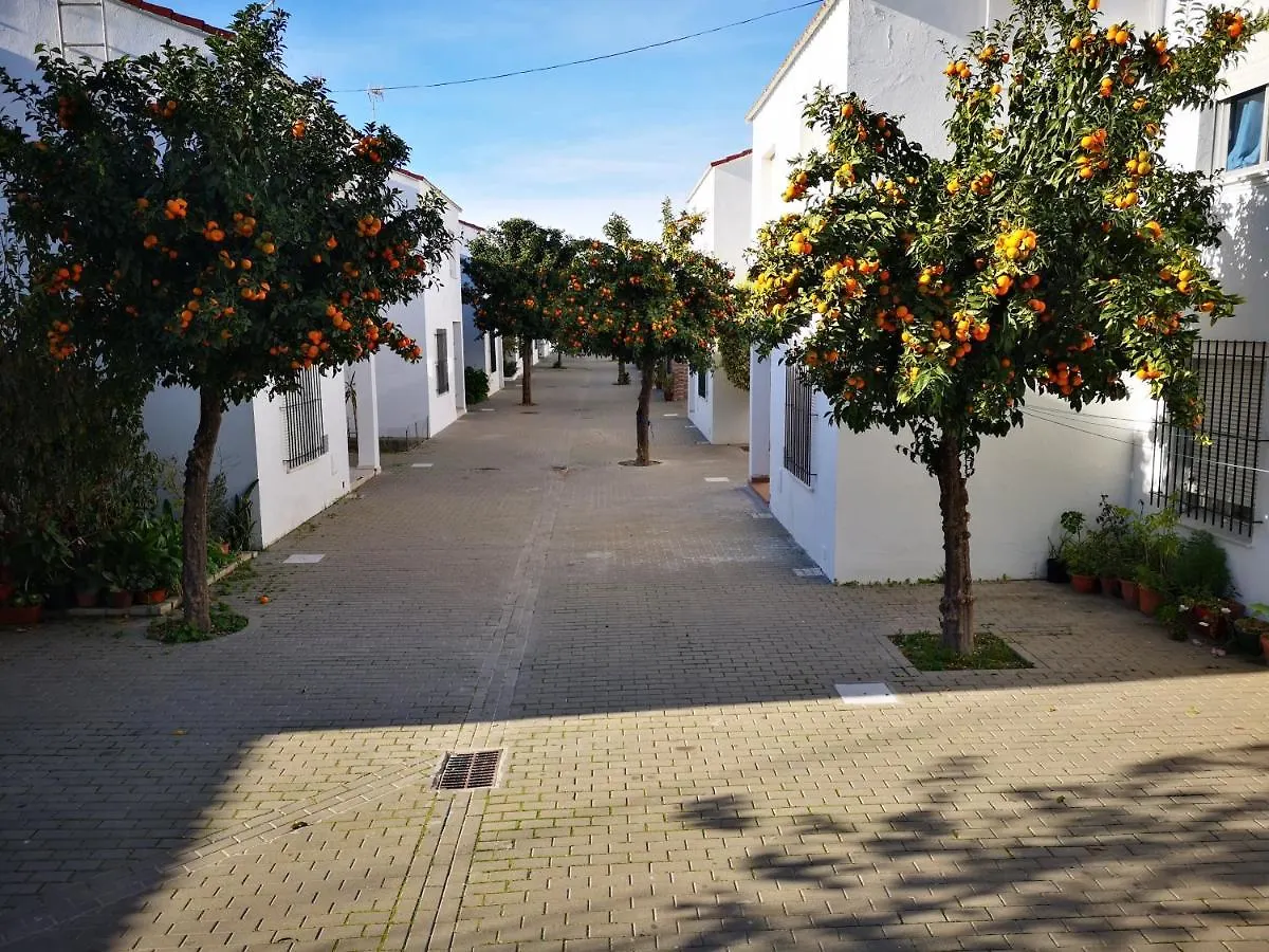 아파트 Hermoso Apartamento En Conil 콘일데라프론테라